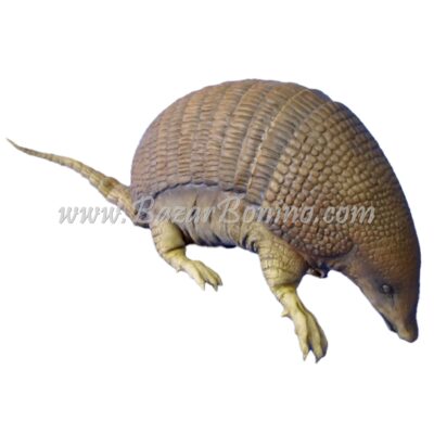 ES54935 - Armadillo in Gomma - Lattice